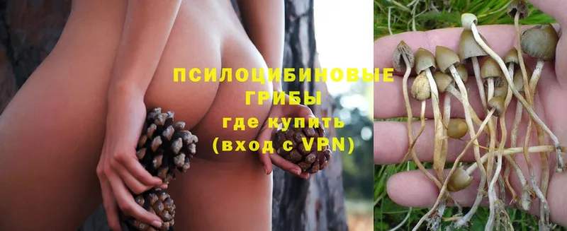 Галлюциногенные грибы MAGIC MUSHROOMS  как найти закладки  Хвалынск 